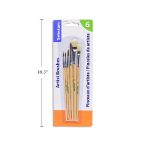 Ensemble de pinceaux assortis (6)