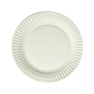 Assiettes en papier 9 po (25)