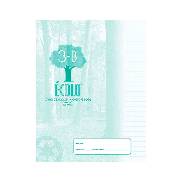 80 pages