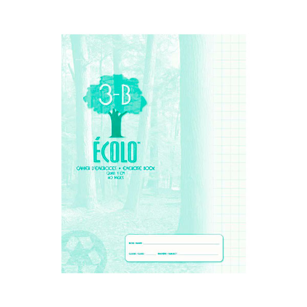 40 pages
