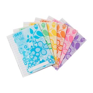 GRAND CAHIER D'EXERCICES GEOECO #120